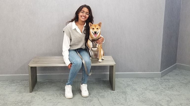About Dog Walking Company at QueensQuay and Harbourfront Downtown Toronto